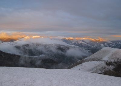 Lindus nevado