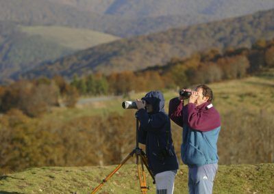 Observadores en Lindus