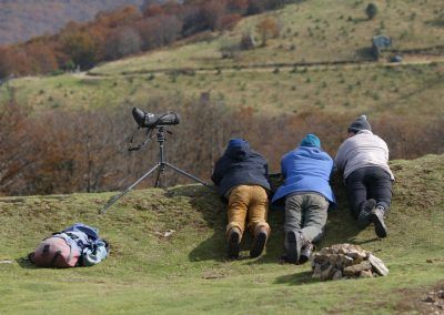 Observadores en Lindus