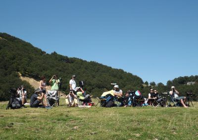 Grupo de observadores (agosto 2016)