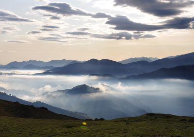 Organbidexka con niebla