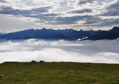 Organbidexka con niebla