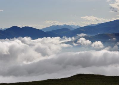 Organbidexka con niebla