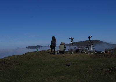Observadores