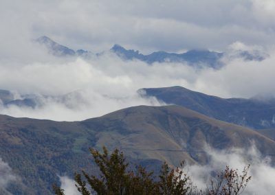 Paisaje con niebla