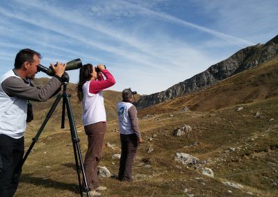 Observadores voluntarios