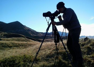 Observador voluntario
