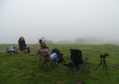 Observadores absorbidos por la niebla