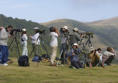 Grupo de observadores de día
