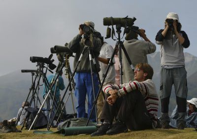 Observadores en fila