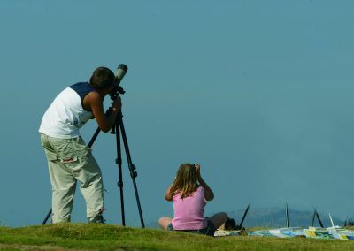Pareja de observadores