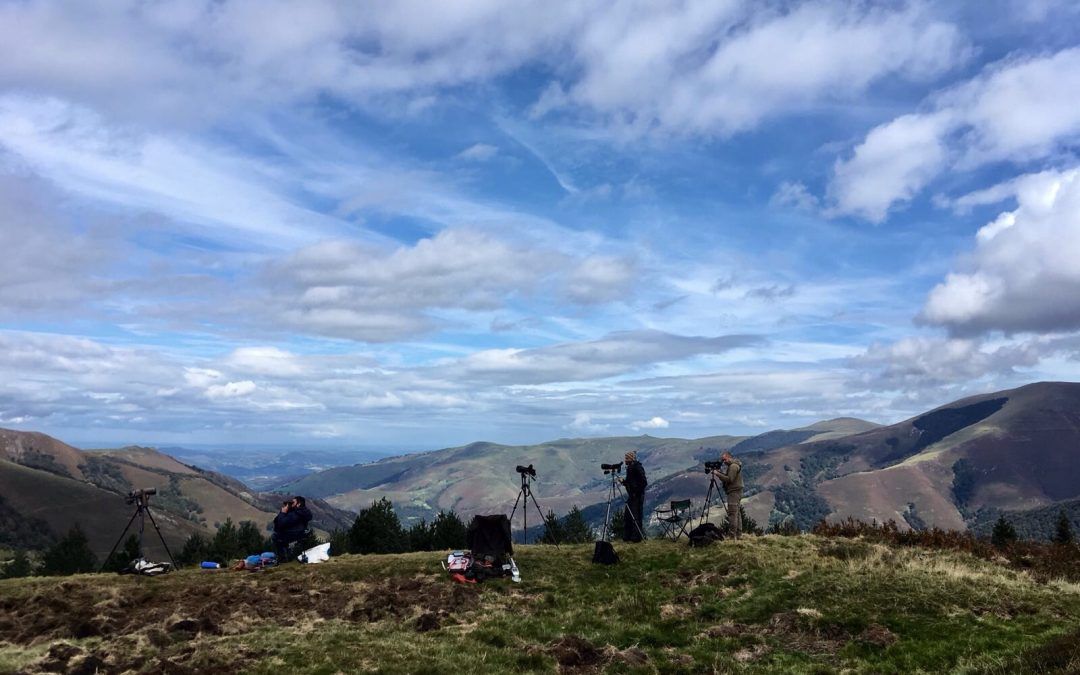 La Communauté de Travail des Pyrénées choisit le projet Lindus 2 pour fêter la Journée de la coopération européenne